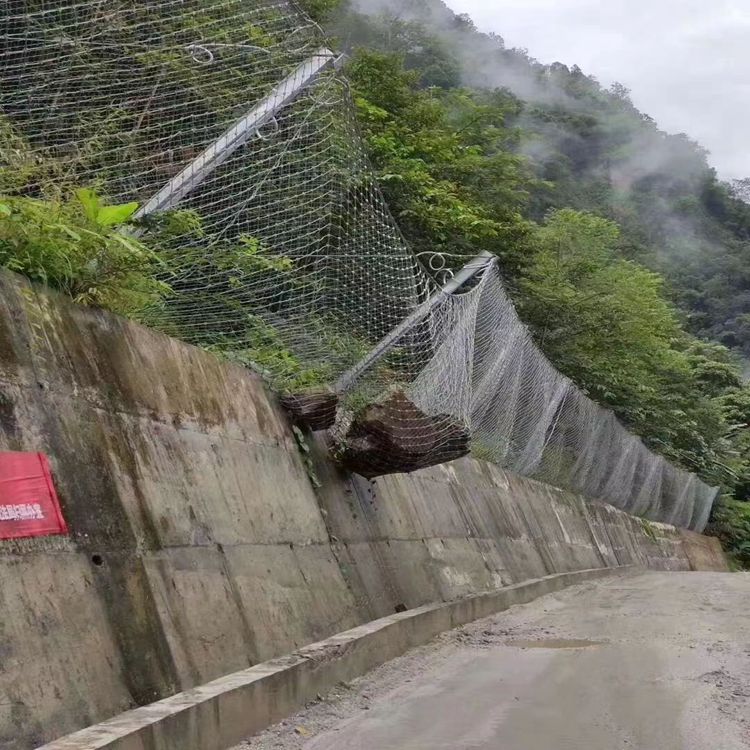 黄瓜视频成年人污地址